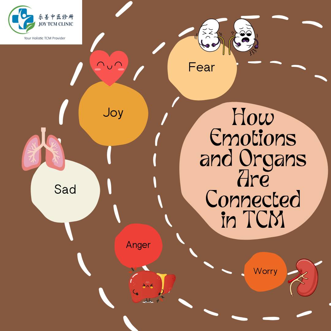 Joy TCM Clinic - How Emotions and Organs Are Connected in... | Facebook