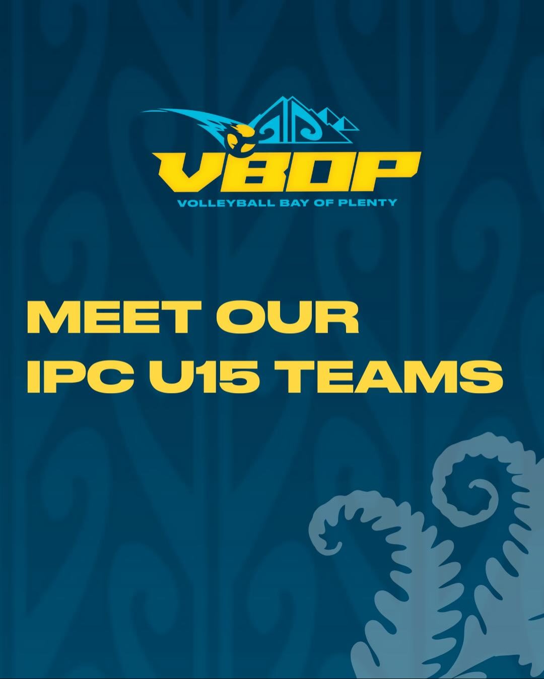 🏐💪 Meet our 2025 U15 Indoor IPC... - Volleyball Bay of Plenty | Facebook