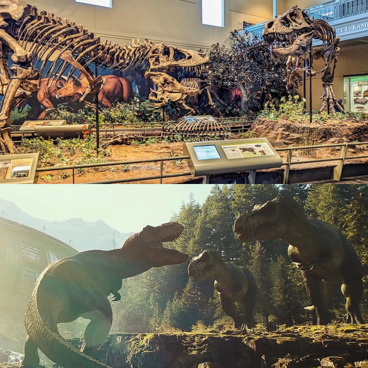 The Jurassic - “These creatures require our absence to survive, not our ...