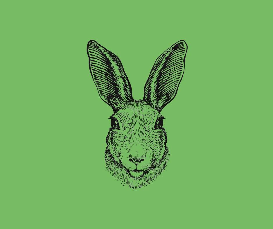 This Saturday, Aug 8th,... - Rabbit Valley Farmers Market | Facebook
