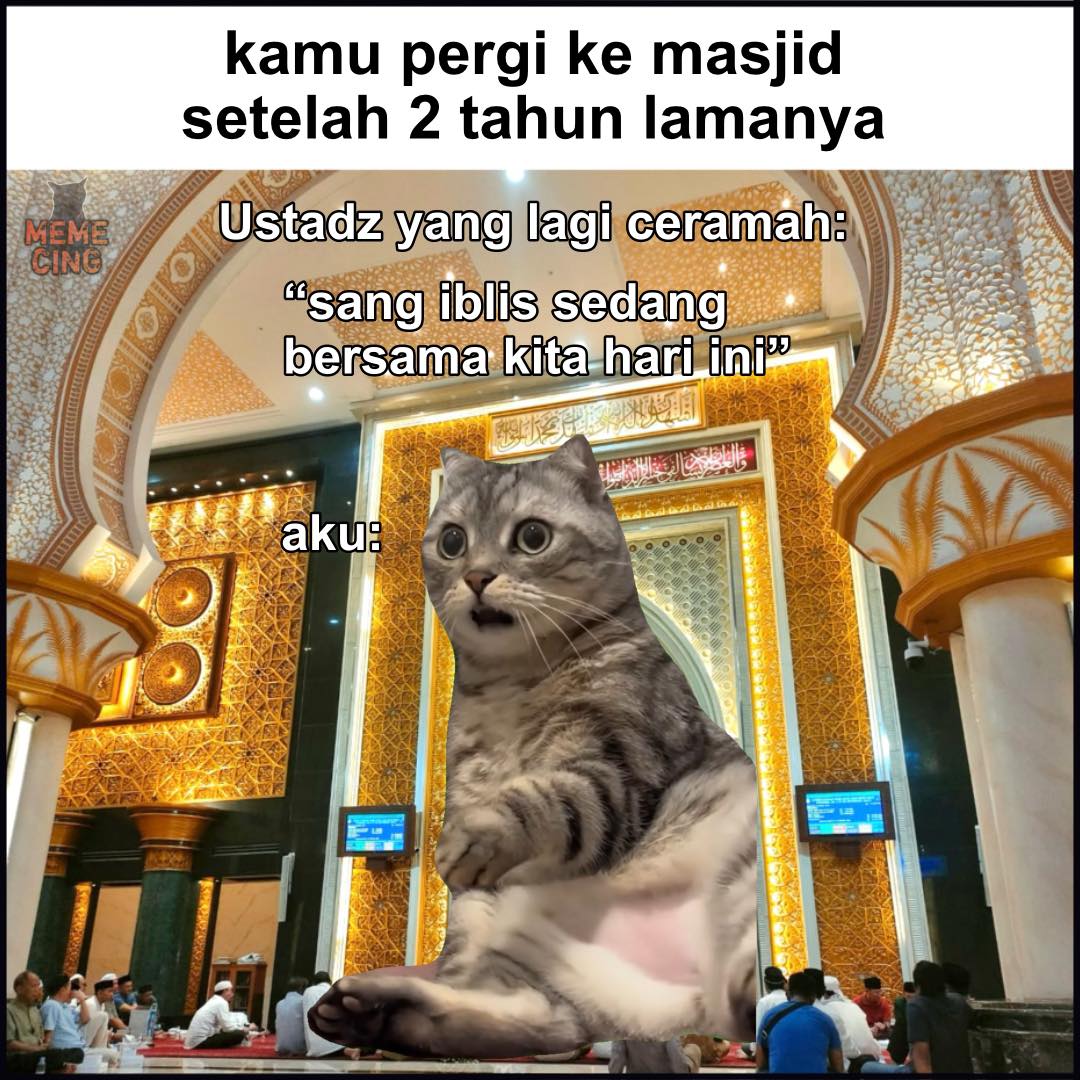 Memecing - merasa tersindir🤣 #meme #memekucing #kucing #kucinglucu ...