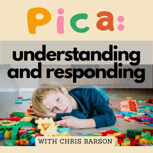 Hirstwood - Pica: Understanding and Responding 📅 6 March 2026 | 9 am ...