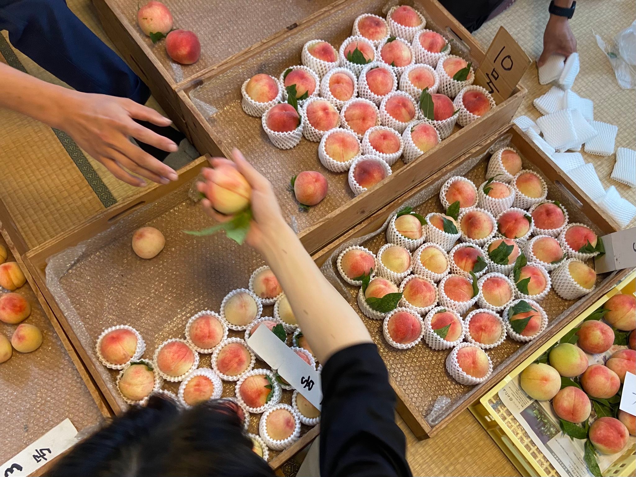 本日 7月7日(火) 🕒15:00より 白鳳(はくほう)の販売を致します