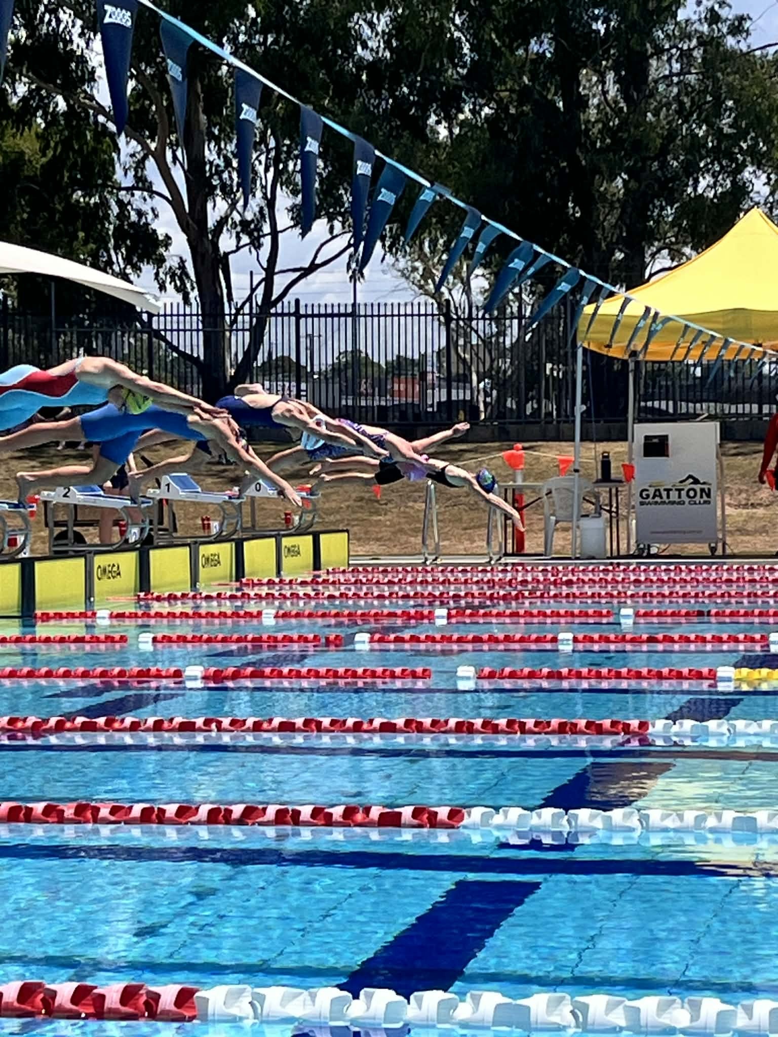 Boonah - 🏊‍♂️ Sporting Pillar Spotlight 🏊‍♀️ Congratulations to the ...
