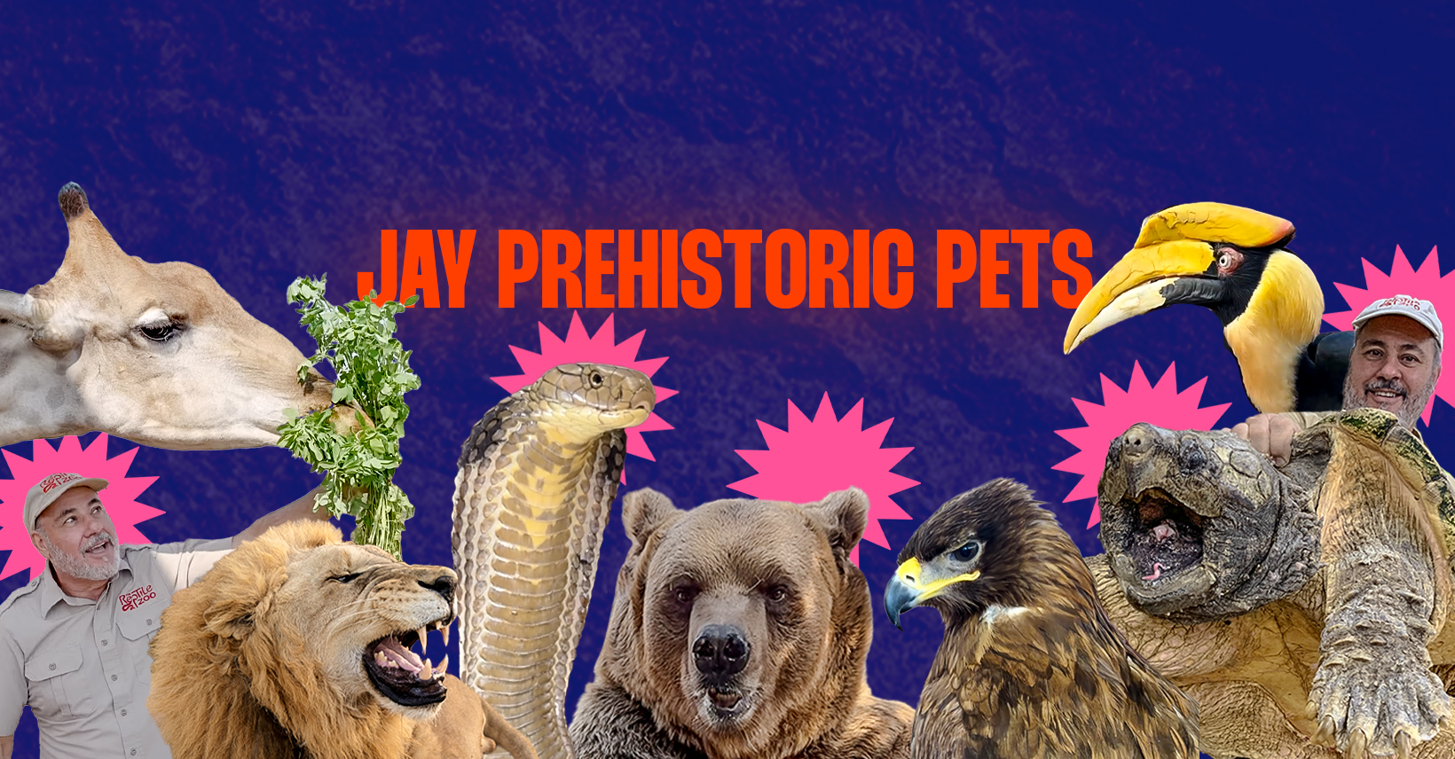 Jayprehistoricpets