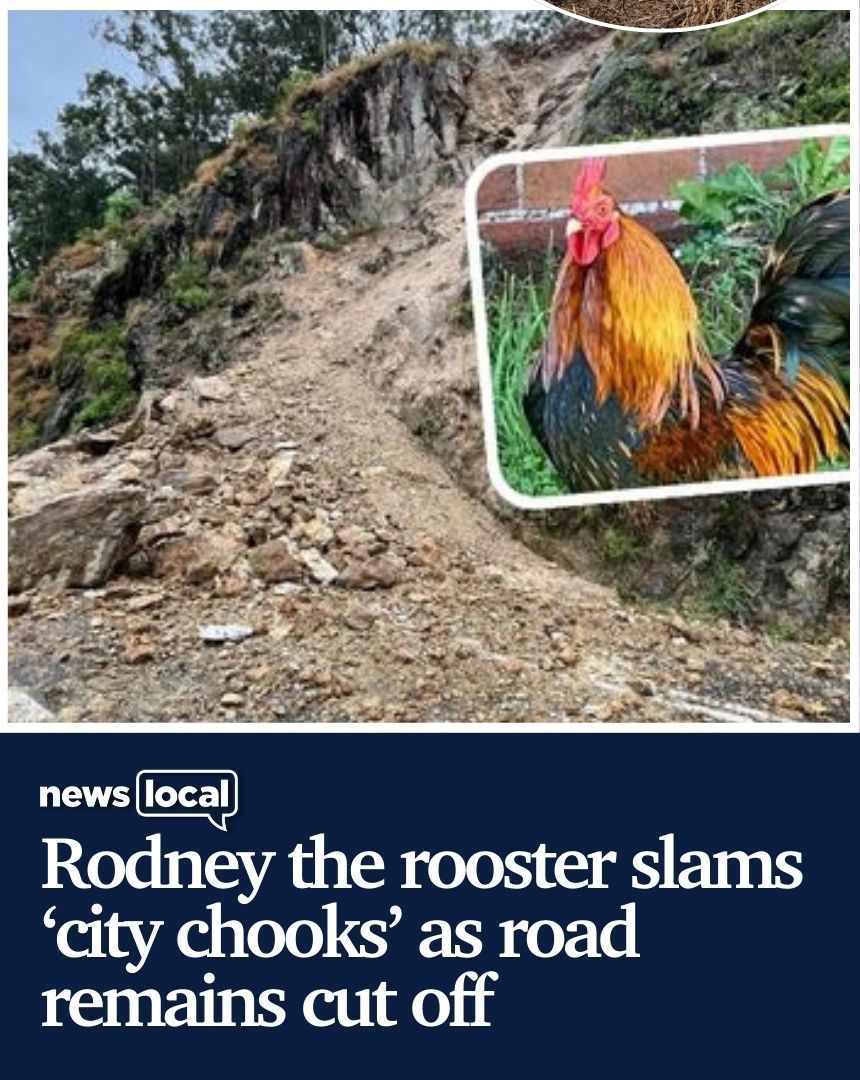 The Mid-North - 🚨 EXCLUSIVE 🚨 Kneecappings, police raids and epic ...