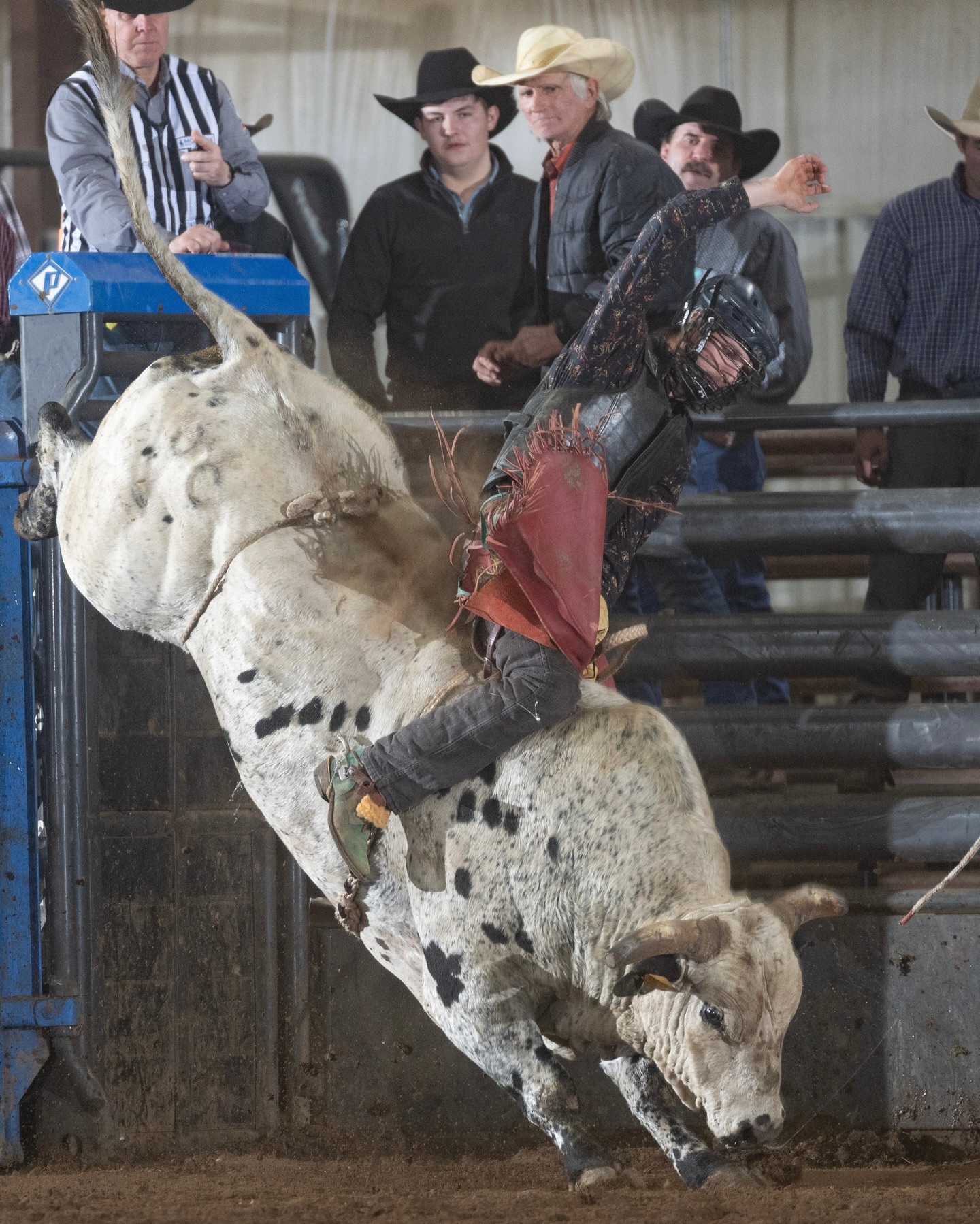 Phoenix Rodeo