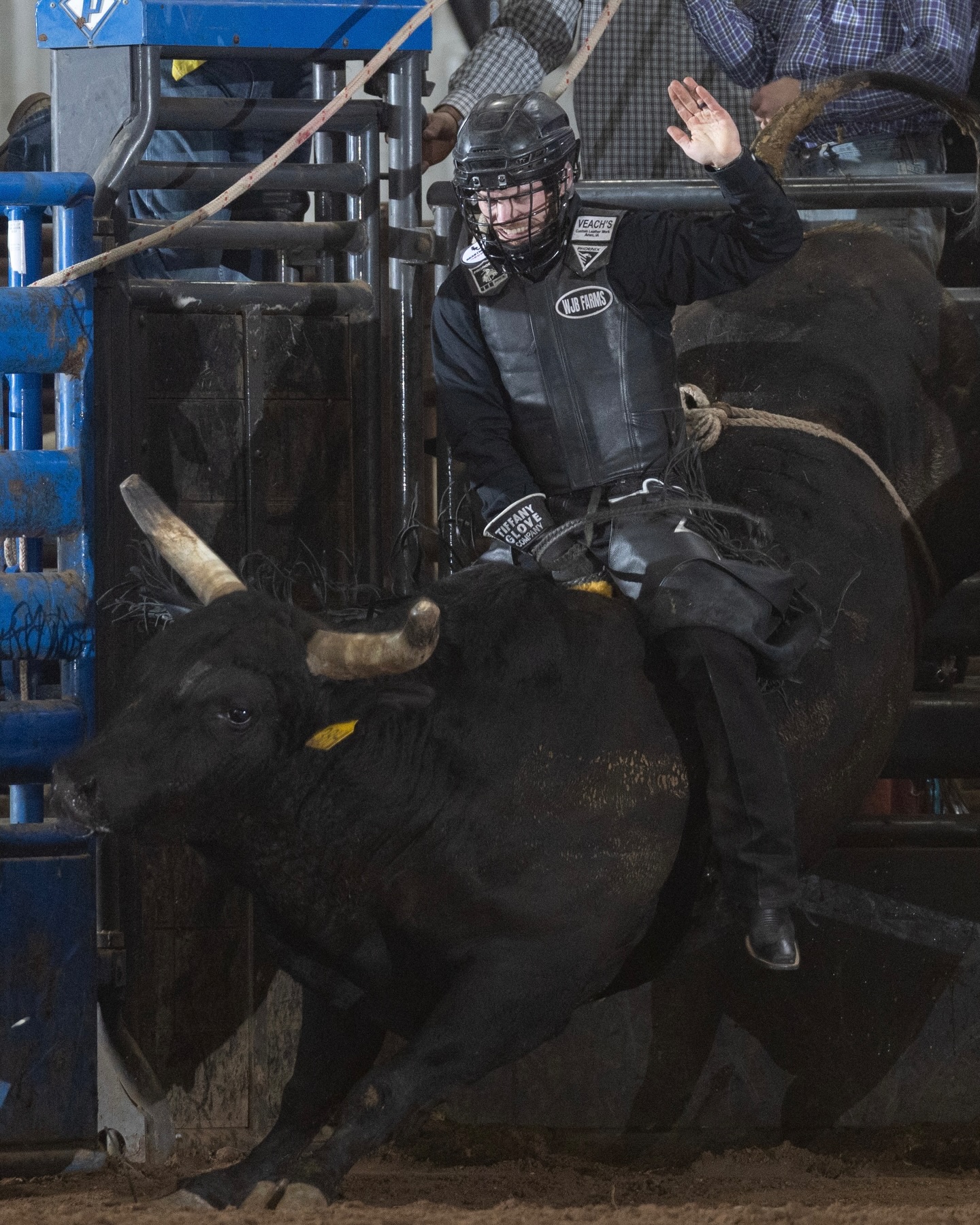 Phoenix Rodeo