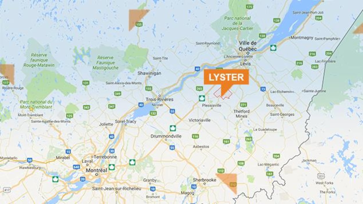 Nouveau spotted Lyster | Lyster QC
