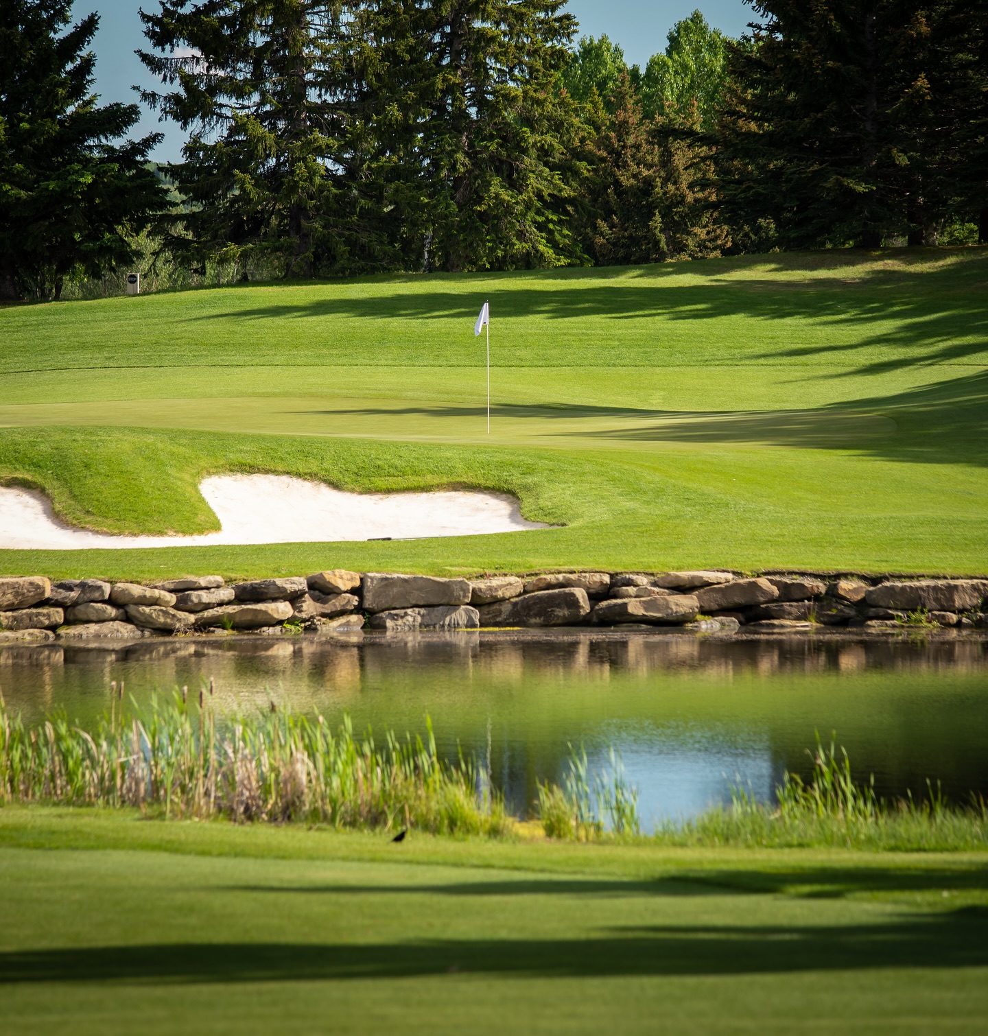 Pinebrook - The weekend outlook is looking good at Pinebrook! With ...