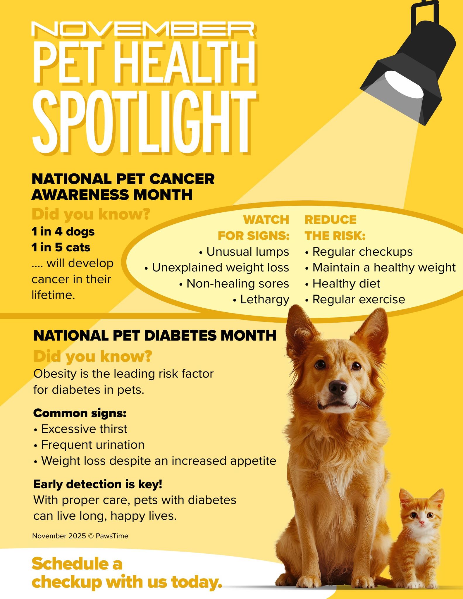 Did you know November is both... - Rockford Veterinary Clinic | Facebook