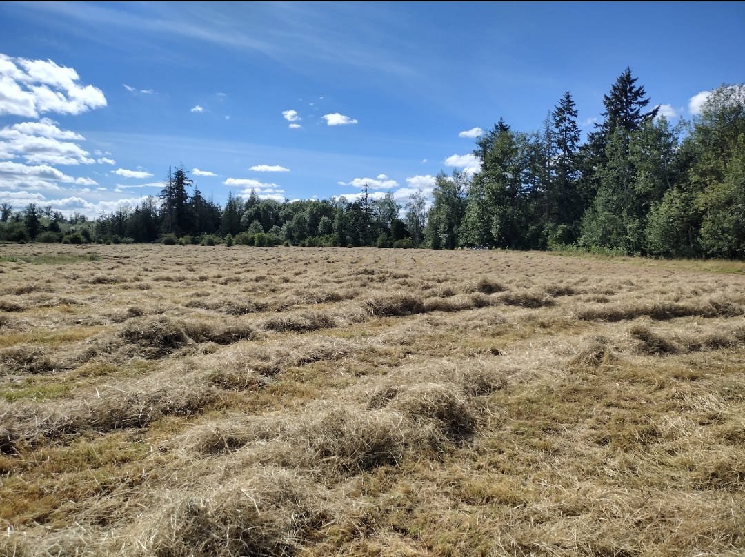 Local Grass Hay with a... - Green Branch Ranch & Farm Store | Facebook