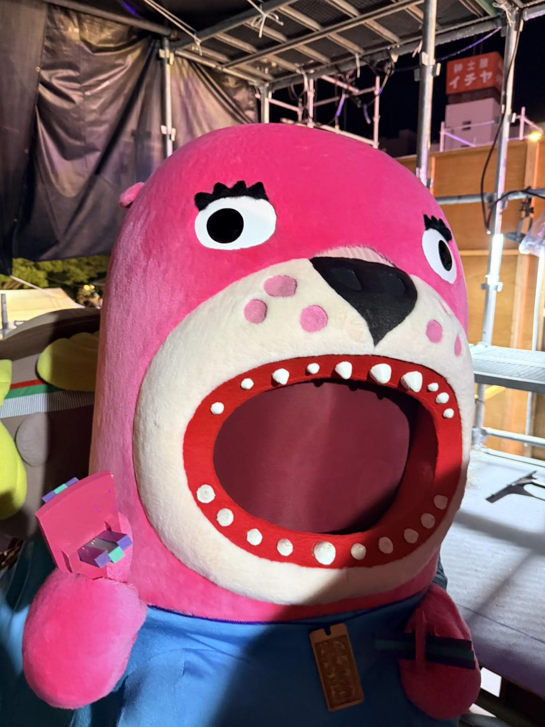 桂浜水族館 - 大人気で欠品中の『おばはんかわうそ』 ハマスイ