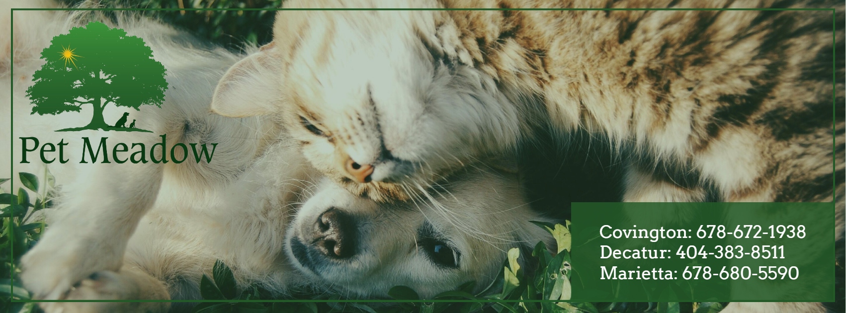 Georgia Pet Meadow | Decatur GA