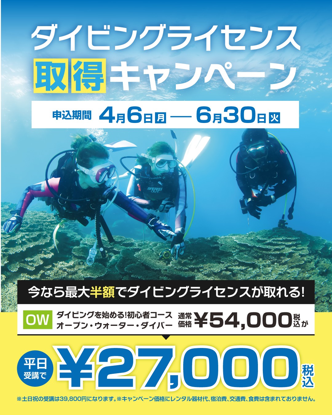 ダイビングを始めるならエムアイシー21！ https://www.mic21.com 