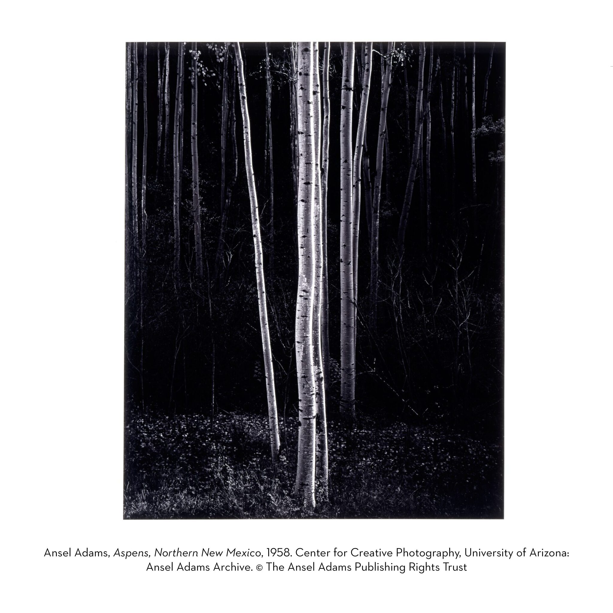 Ansel Adams: Majestic Lands exhibit opens at Westmoreland Museum