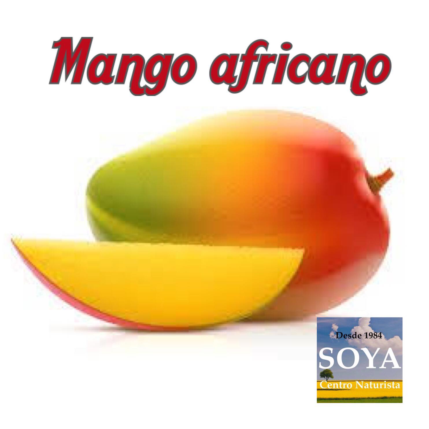 Soya - El mango africano, cuyo nombre científico es “Irvingia ...
