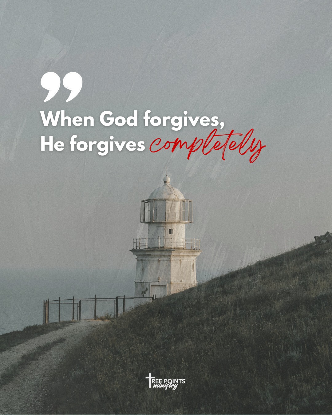 Tree - Washed clean, not just covered—His forgiveness is complete and ...
