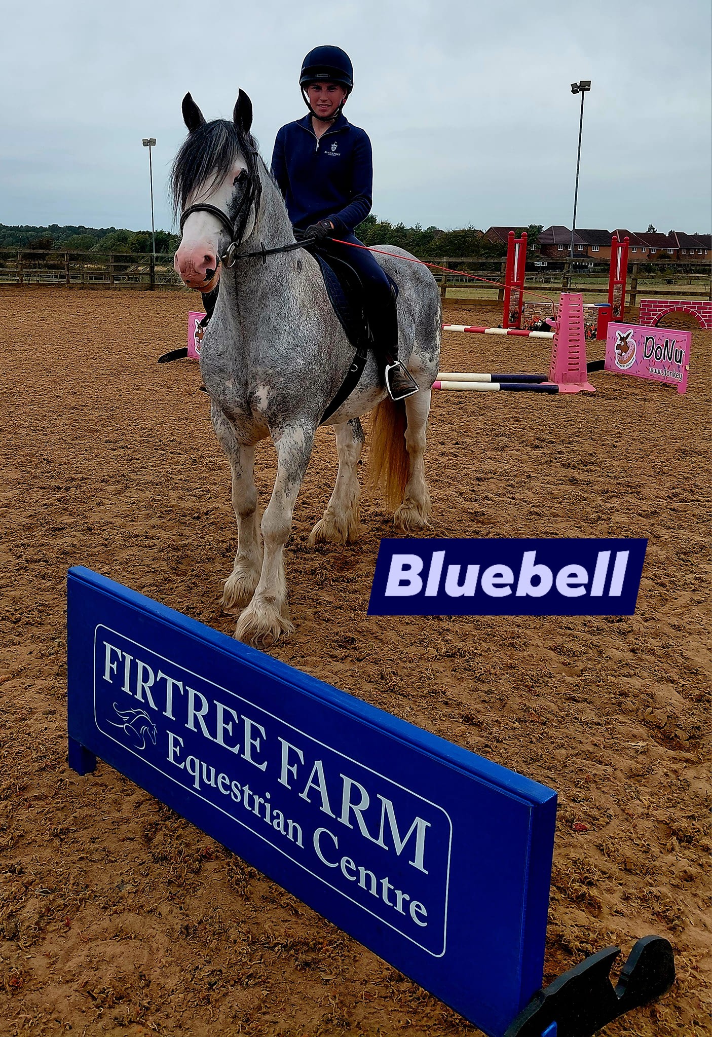 Firtree Farm Riding School | Newcastle upon Tyne