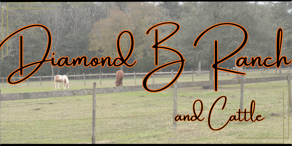 Diamond B Ranch | Alvin TX