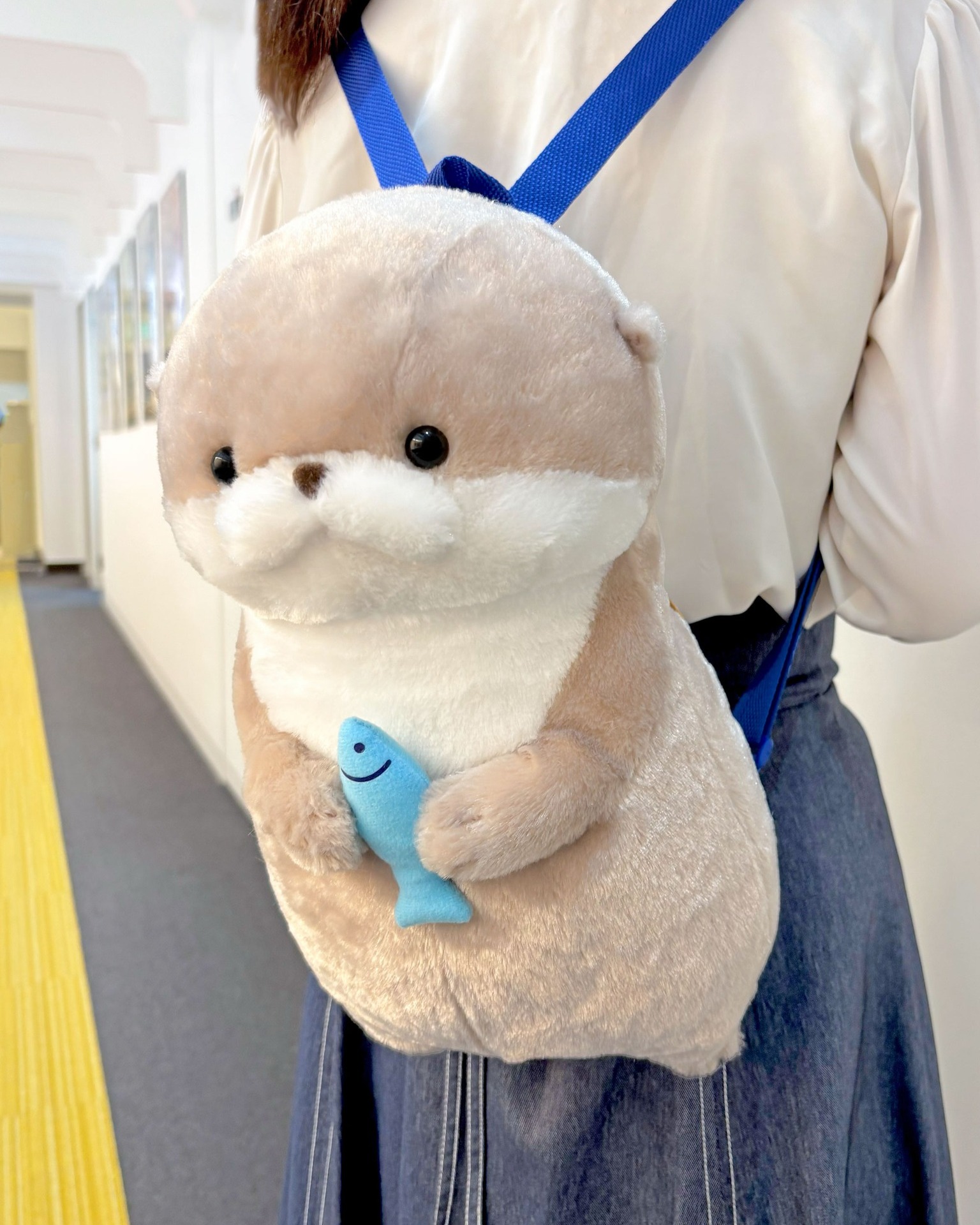 ☆むちむチワワでかBIGちょこりん登場☆ 新メンバー「ちょこりん」がで