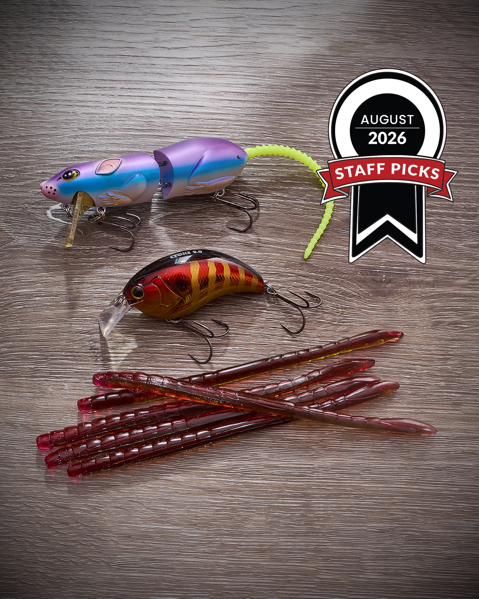 are lizard baitcasting reels any good Light Weight Fishing Reel with13+1 Shielded Stainless Steel Bearings, Carbon Fiber,Gear Ratio 6.3:1, Ultra Smooth Baitcaster Reel for Saltwater or Freshwater : Sports & Outdoors c3 6500 Size:Bass Worm 145 which makes it a Lot - Abu Garcia