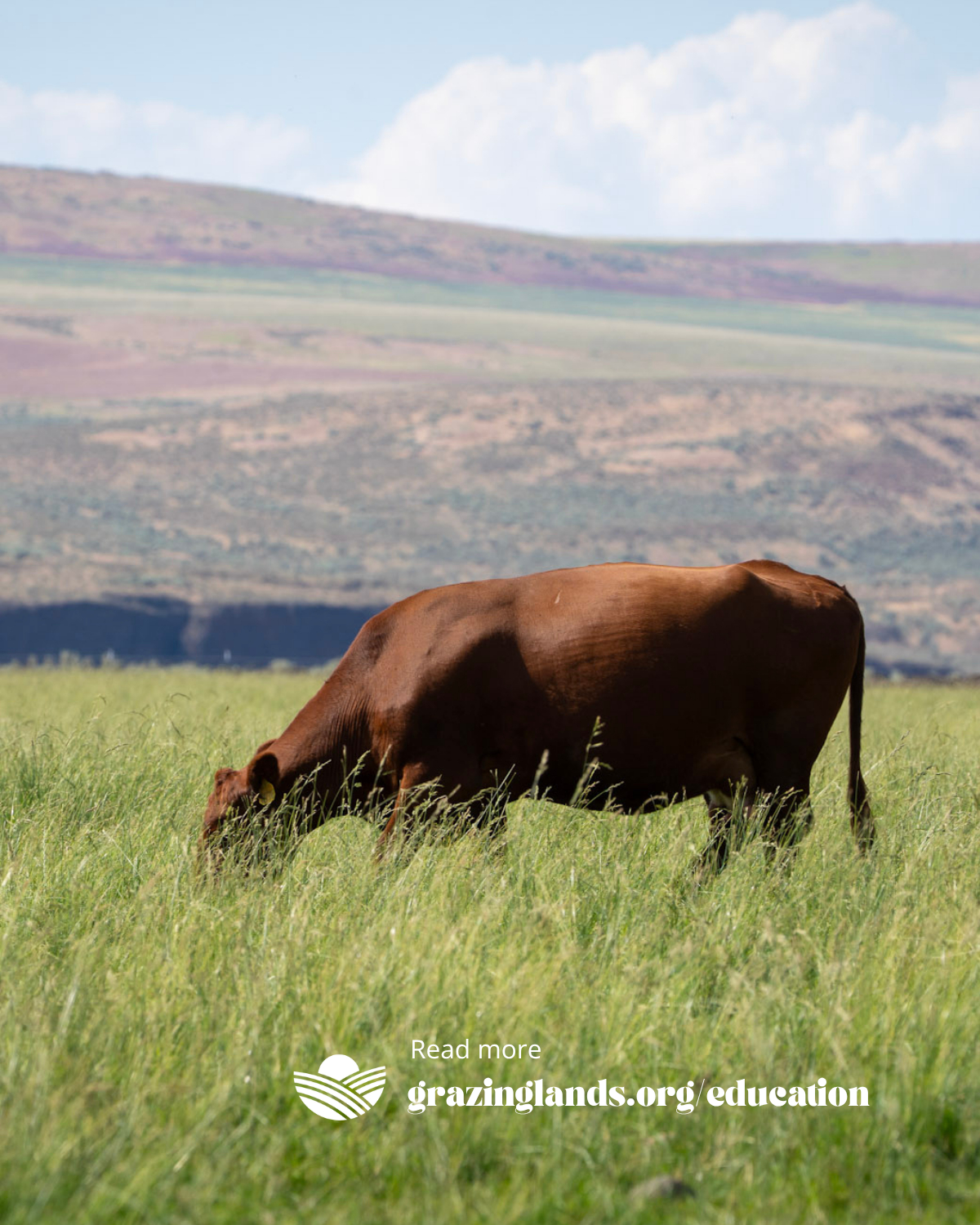 That’s a wrap on the 2026 ASI... - American Sheep Industry | Facebook