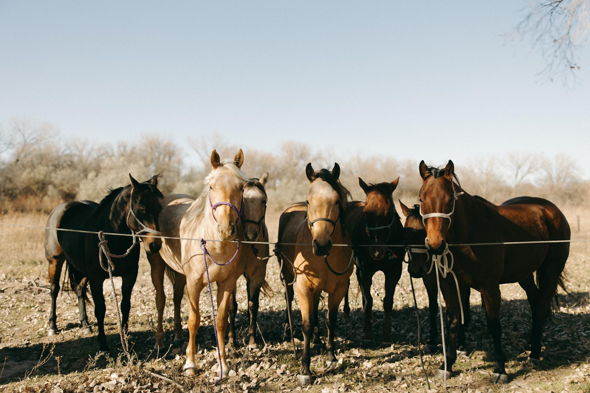 Autumn Rasmussen