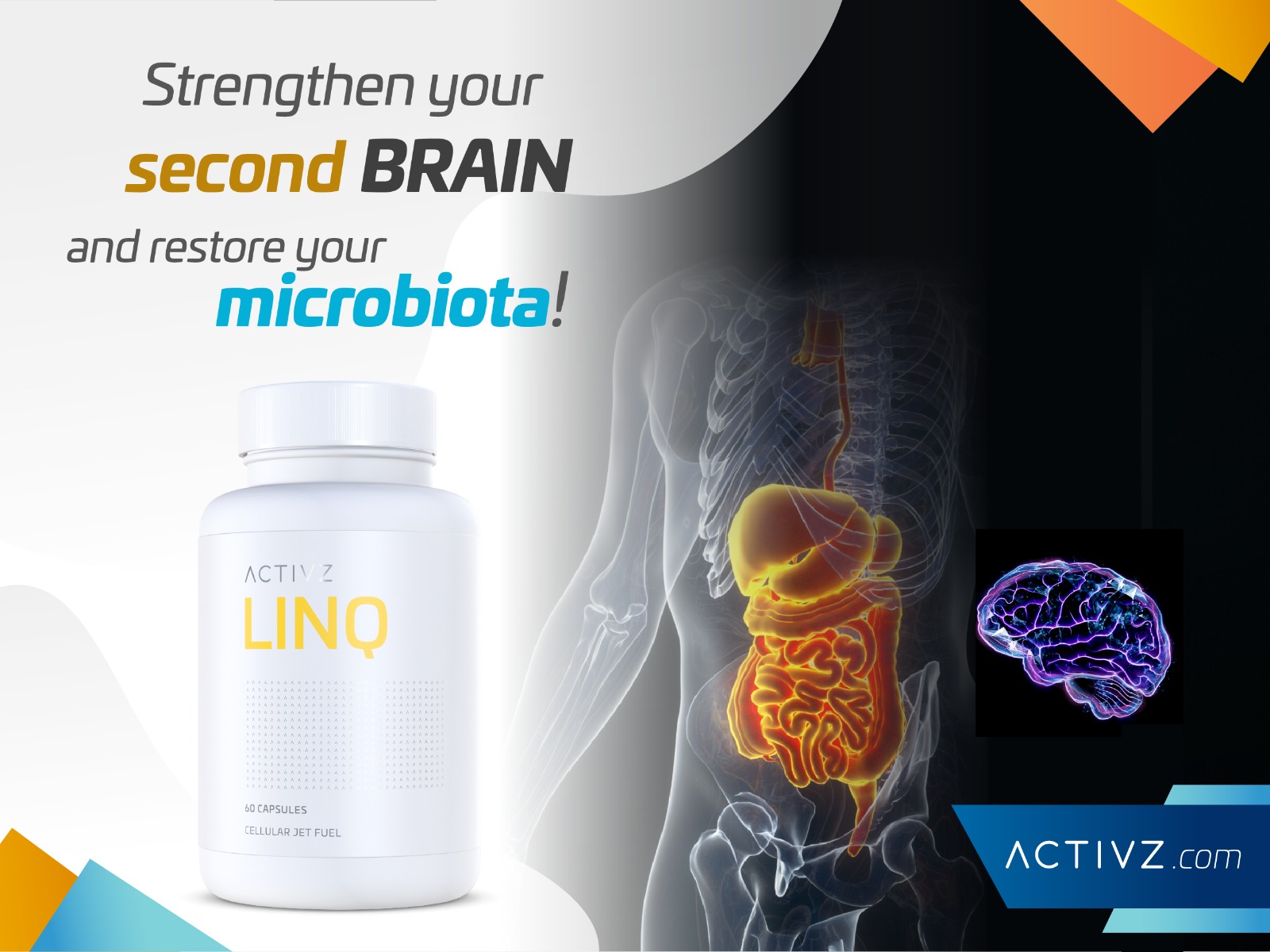ACTIVZ USA - The gut is often called THE SECOND BRAIN,...