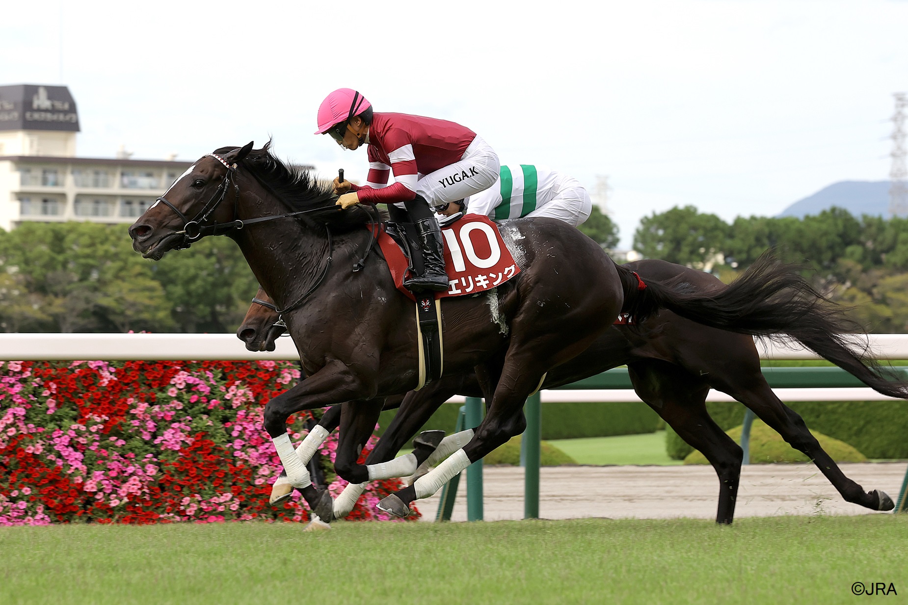 JRA（日本中央競馬会） - 2001年の宝塚記念(GI)を制したのは