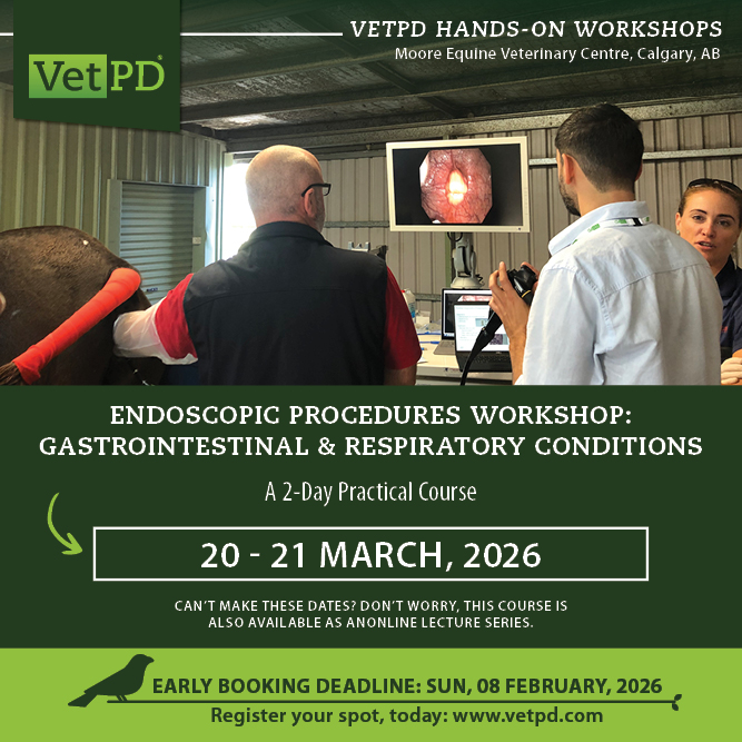 VetPD - 𝗠𝗮𝘀𝘁𝗲𝗿 𝗘𝗾𝘂𝗶𝗻𝗲 𝗘𝗻𝗱𝗼𝘀𝗰𝗼𝗽𝘆 - 𝗣𝗿𝗮𝗰𝘁𝗶𝗰𝗮𝗹 𝗦𝗸𝗶𝗹𝗹𝘀 𝗳𝗼𝗿 𝗚𝗜 & 𝗥𝗲𝘀𝗽𝗶𝗿𝗮𝘁𝗼𝗿𝘆 ...