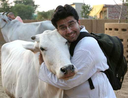 ගව සම්පත... - ගව සම්පත සුරැකිමේ සමාජ වියාපාරය Protect Cows