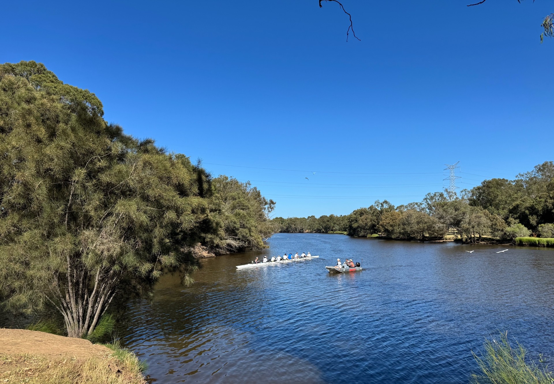 ANA Rowing Club | Bayswater, Western Australia WA