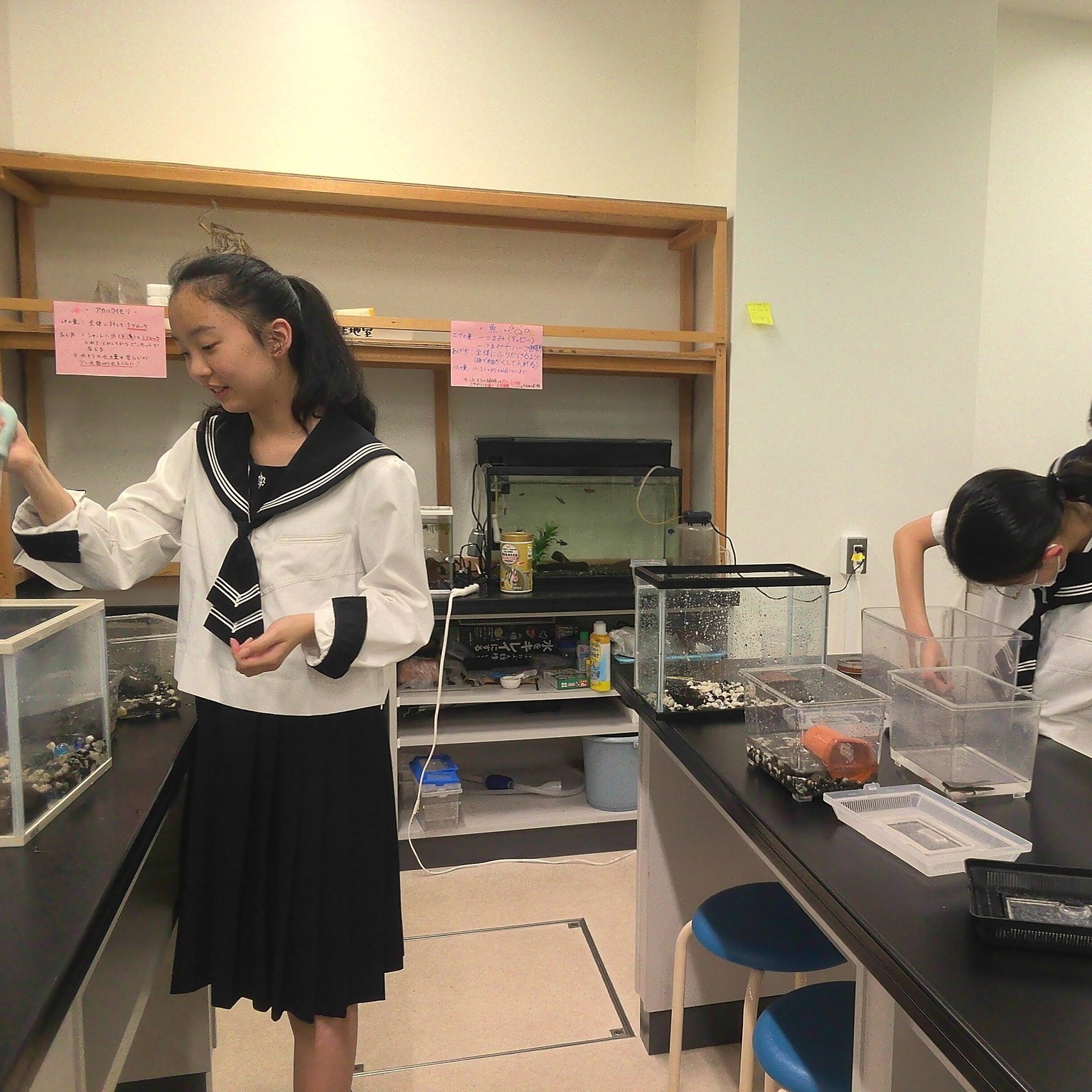湘南白百合学園中学高等学校 - 【スラックス制服を導入します】 今年度 