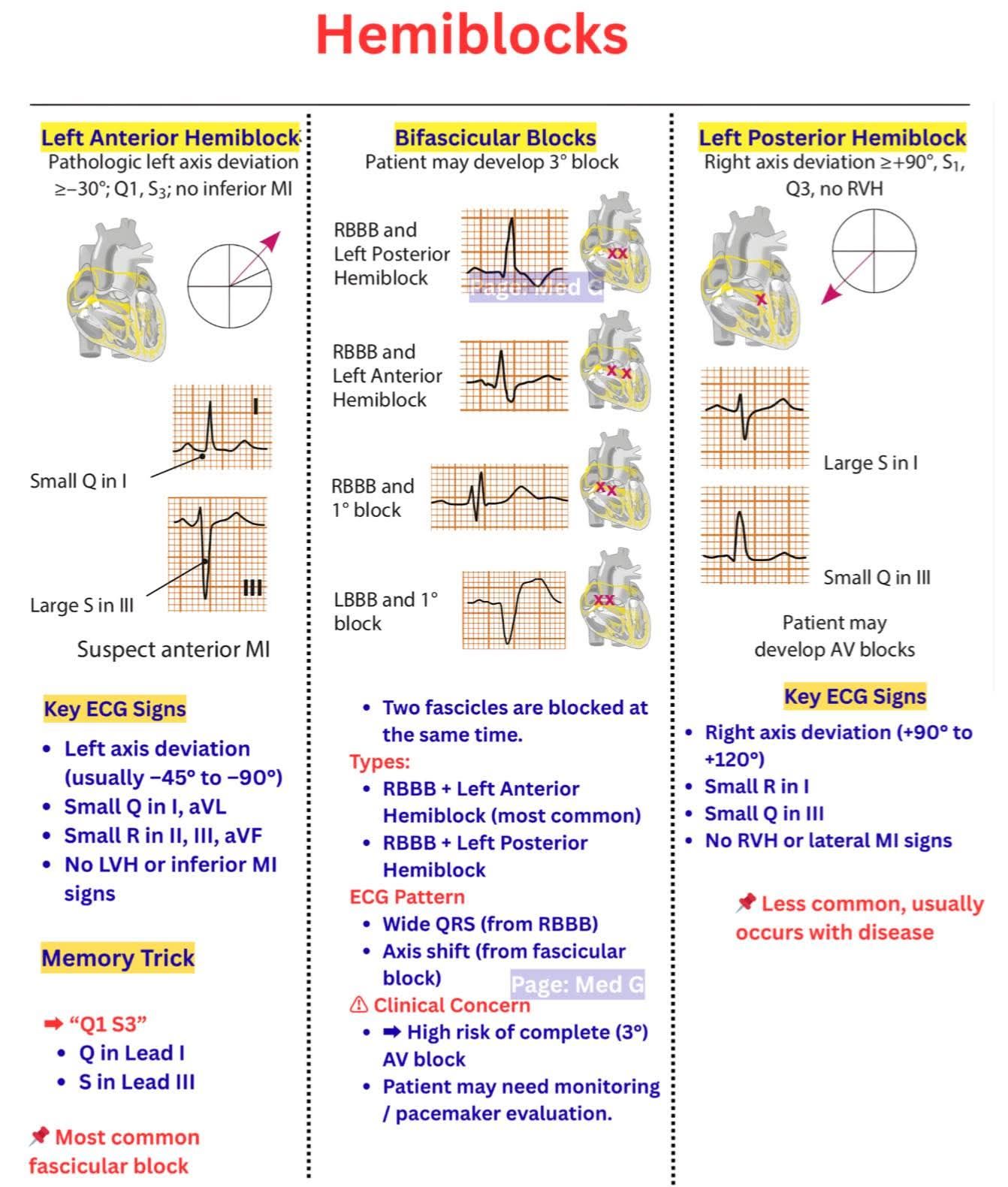 Human Anatomy Group | Facebook