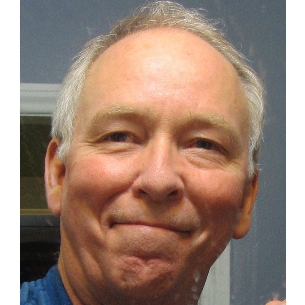 Big Tree Seekers | That's the Moreton Bay Fig tree, native to Australia ...