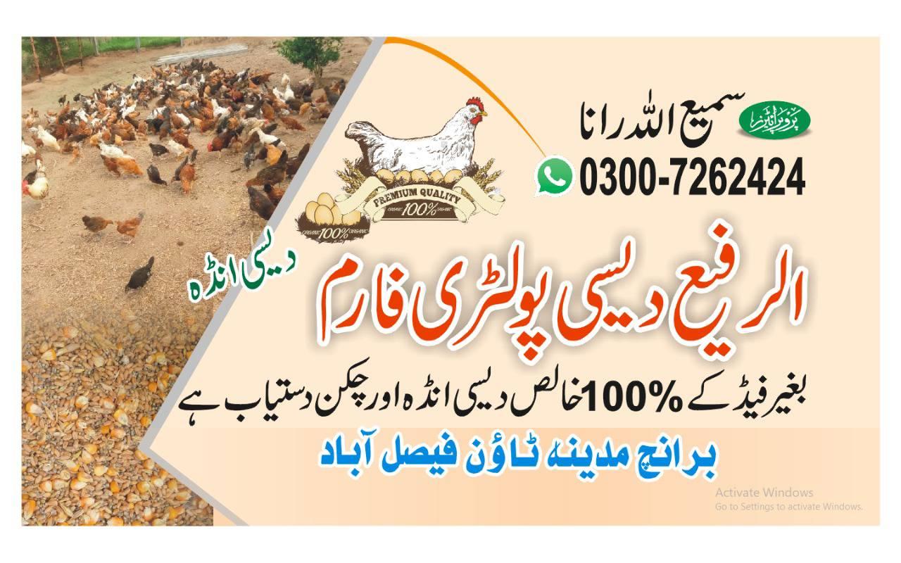 Alrafi Organic Poultry Farm | Facebook