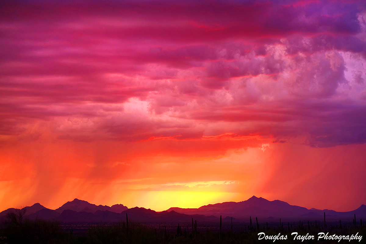 New year brings rain to Avra Valley, Phoenix, AZ