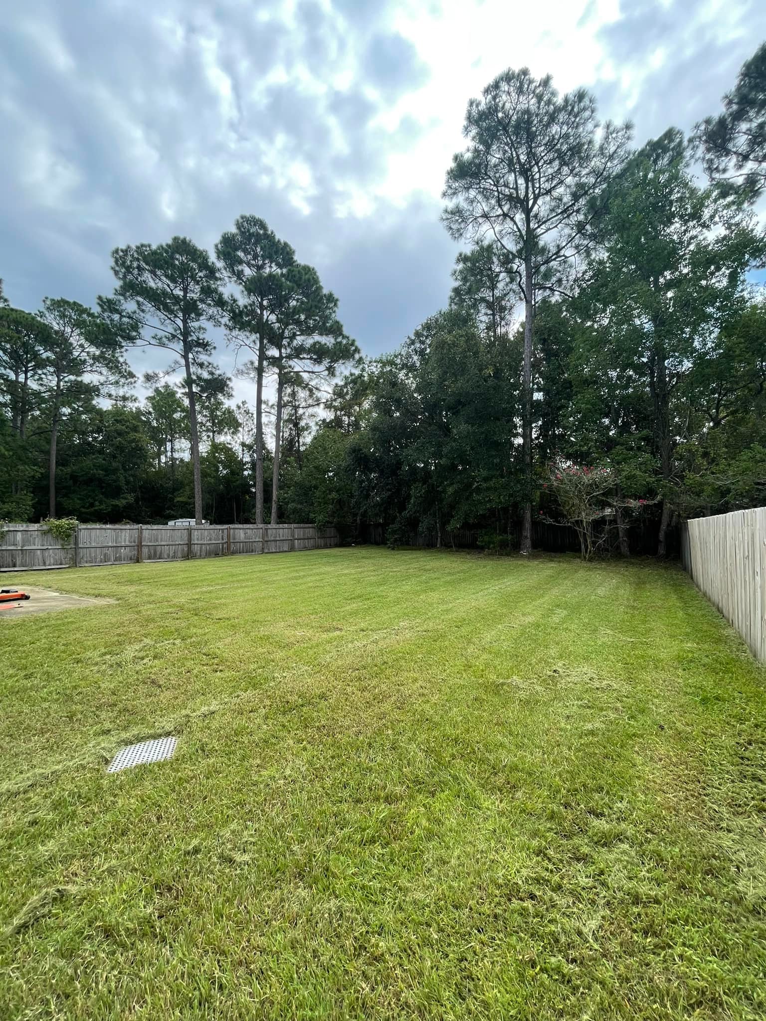 Deep Roots Landscaping LLC | Lillian AL