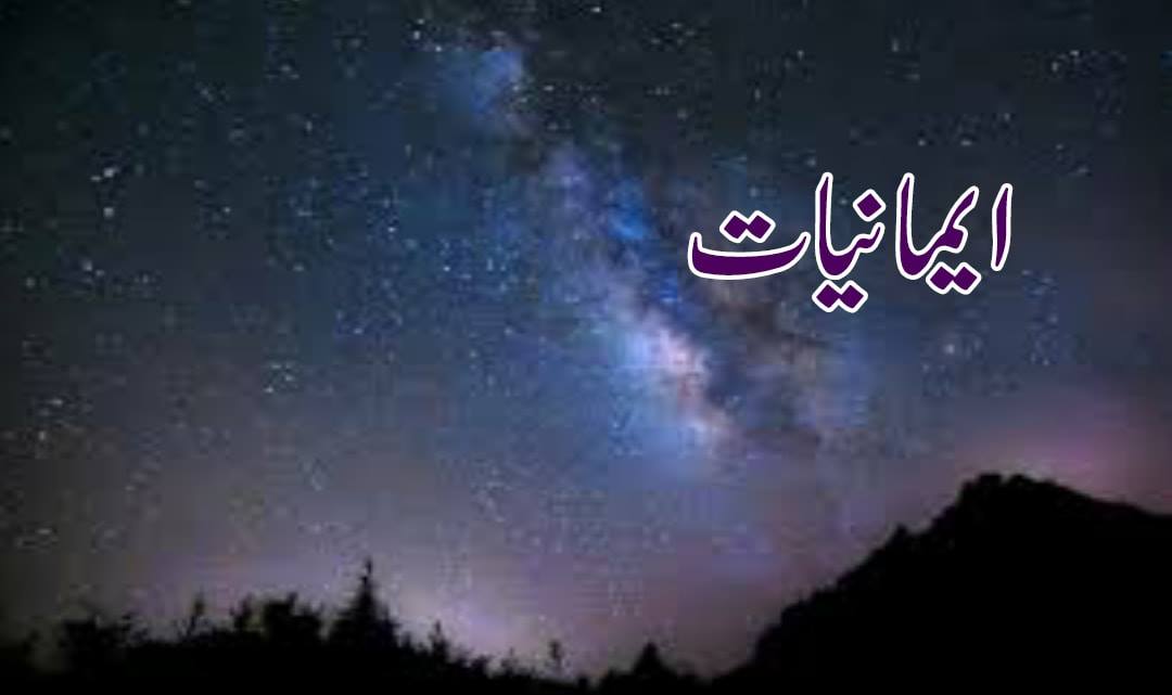 The Real Islam - الدین الخالص - بسم اللہ الرحمٰن الرحیم ’’ اسفل سافلین ...