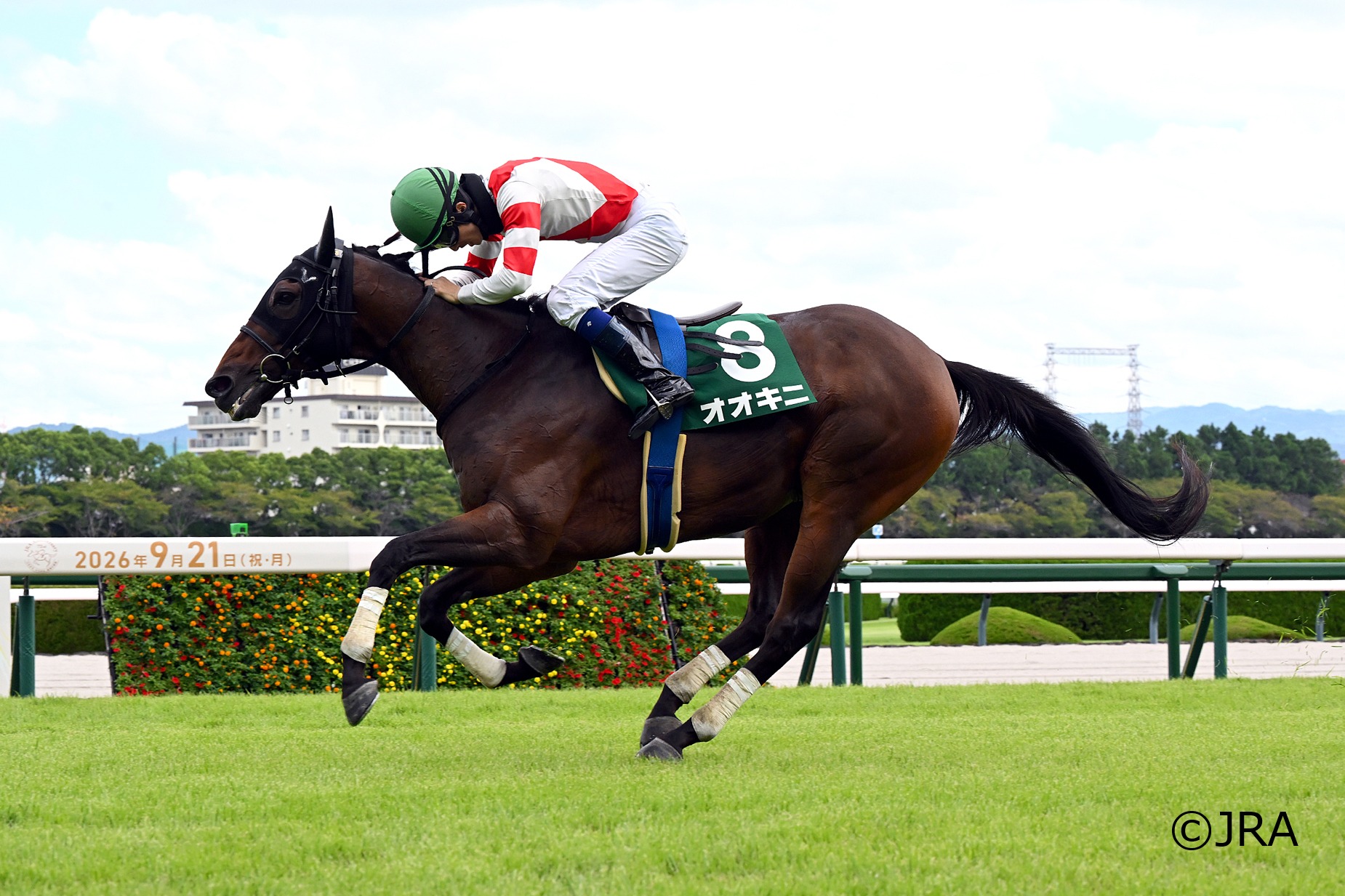 JRA（日本中央競馬会） - 今から15年前、2002年の青葉賞(GII)を制した