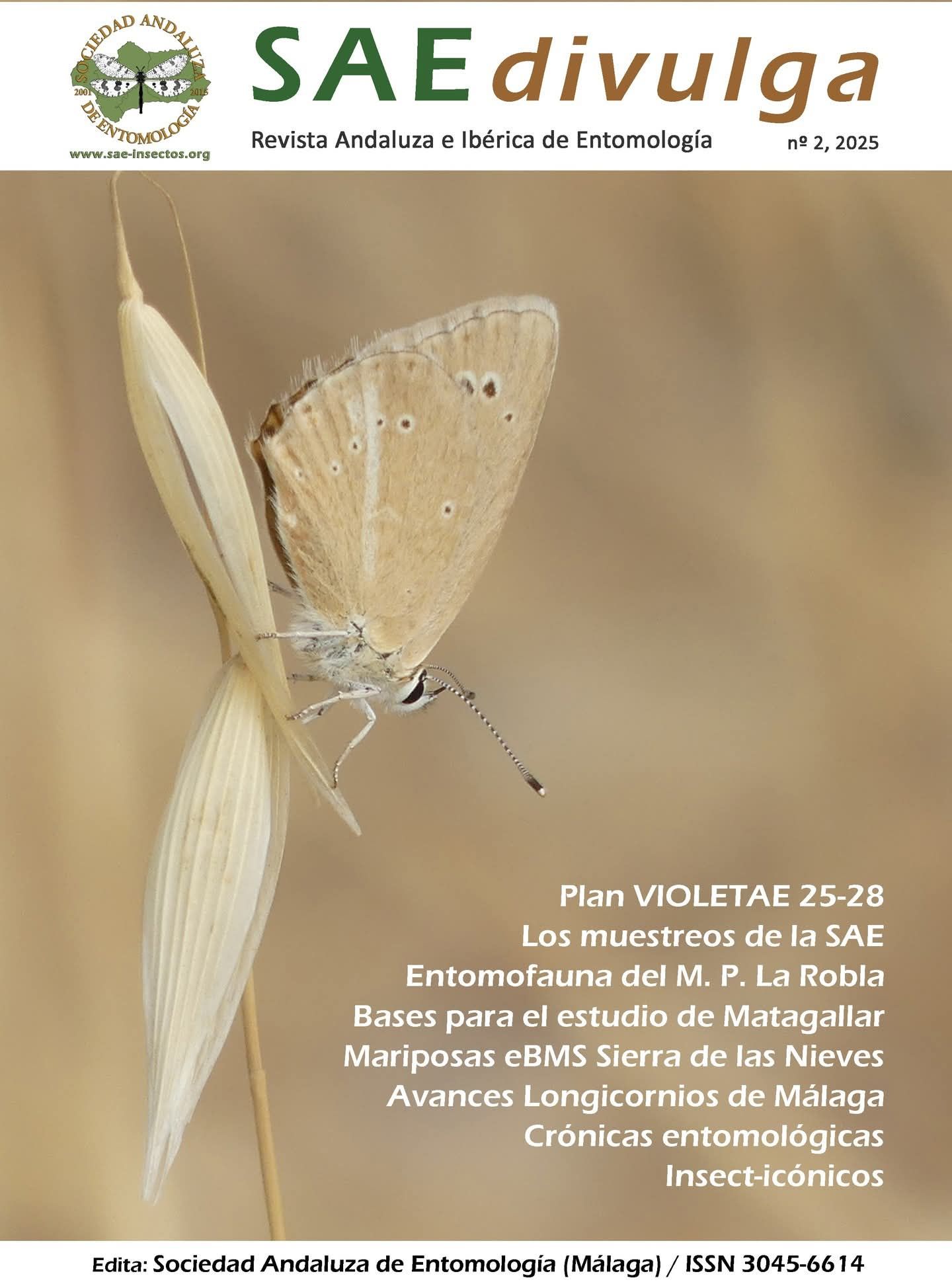 Naturalismo y Entomología de campo
