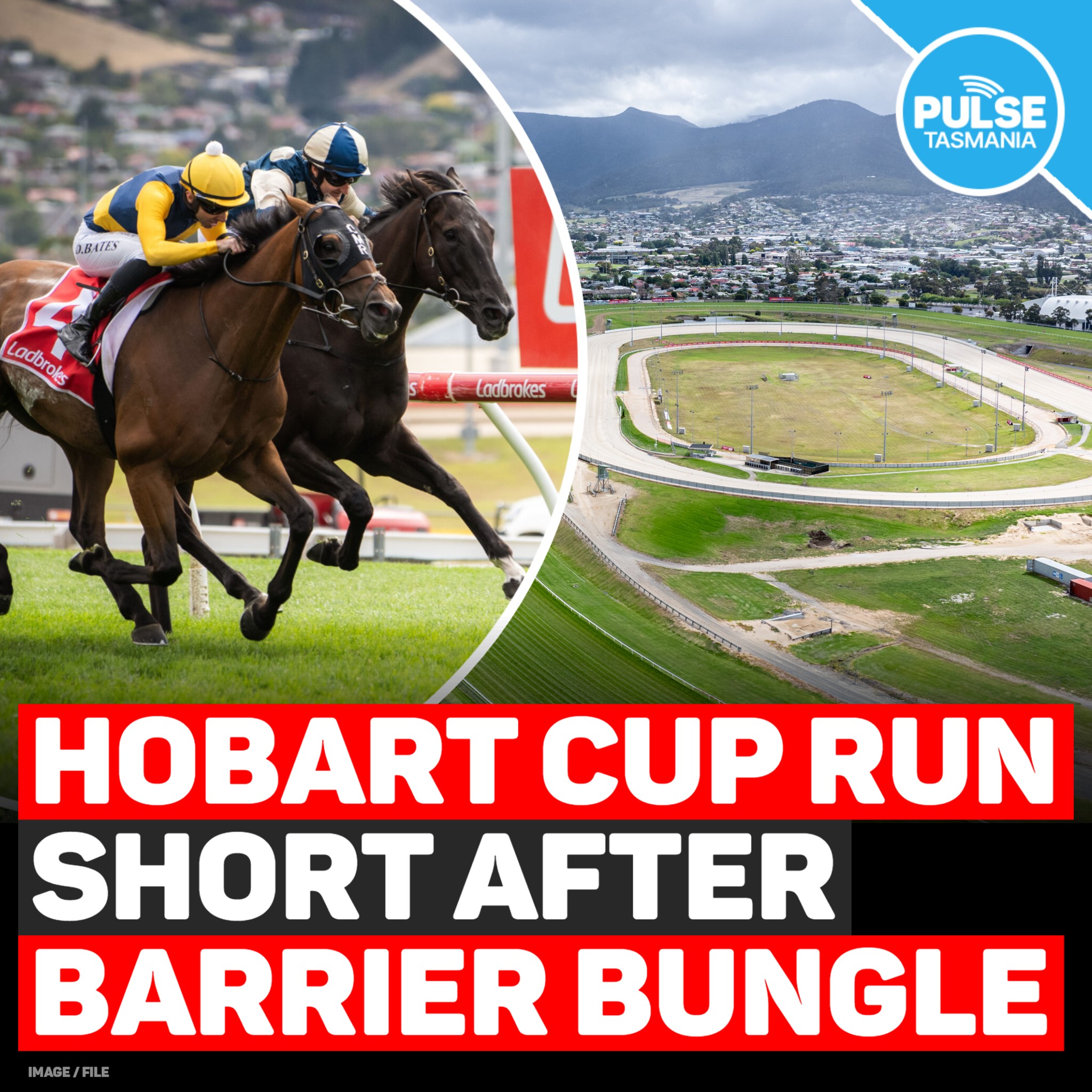 Pulse - Tasmania's most prestigious horse race was run over the wrong ...