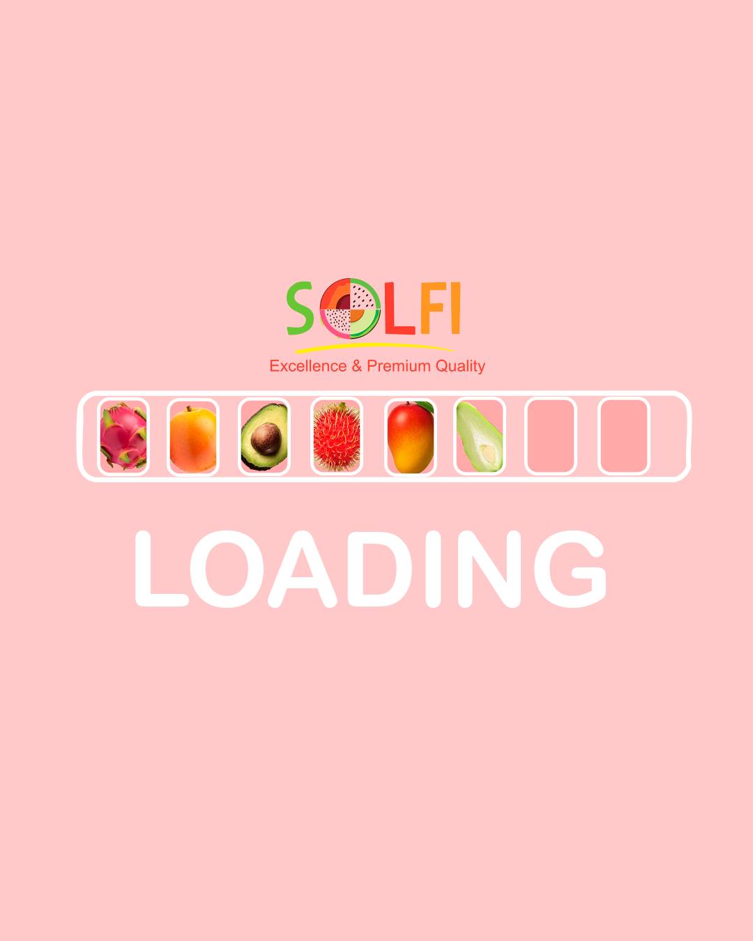 SOLFI GROUP INC. | Commerce CA