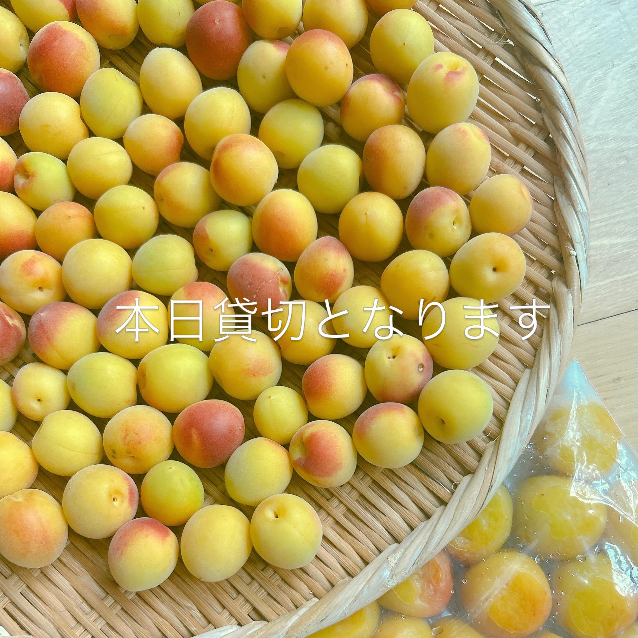 豆豆的花（まめのはな） | Fukuoka-shi Fukuoka