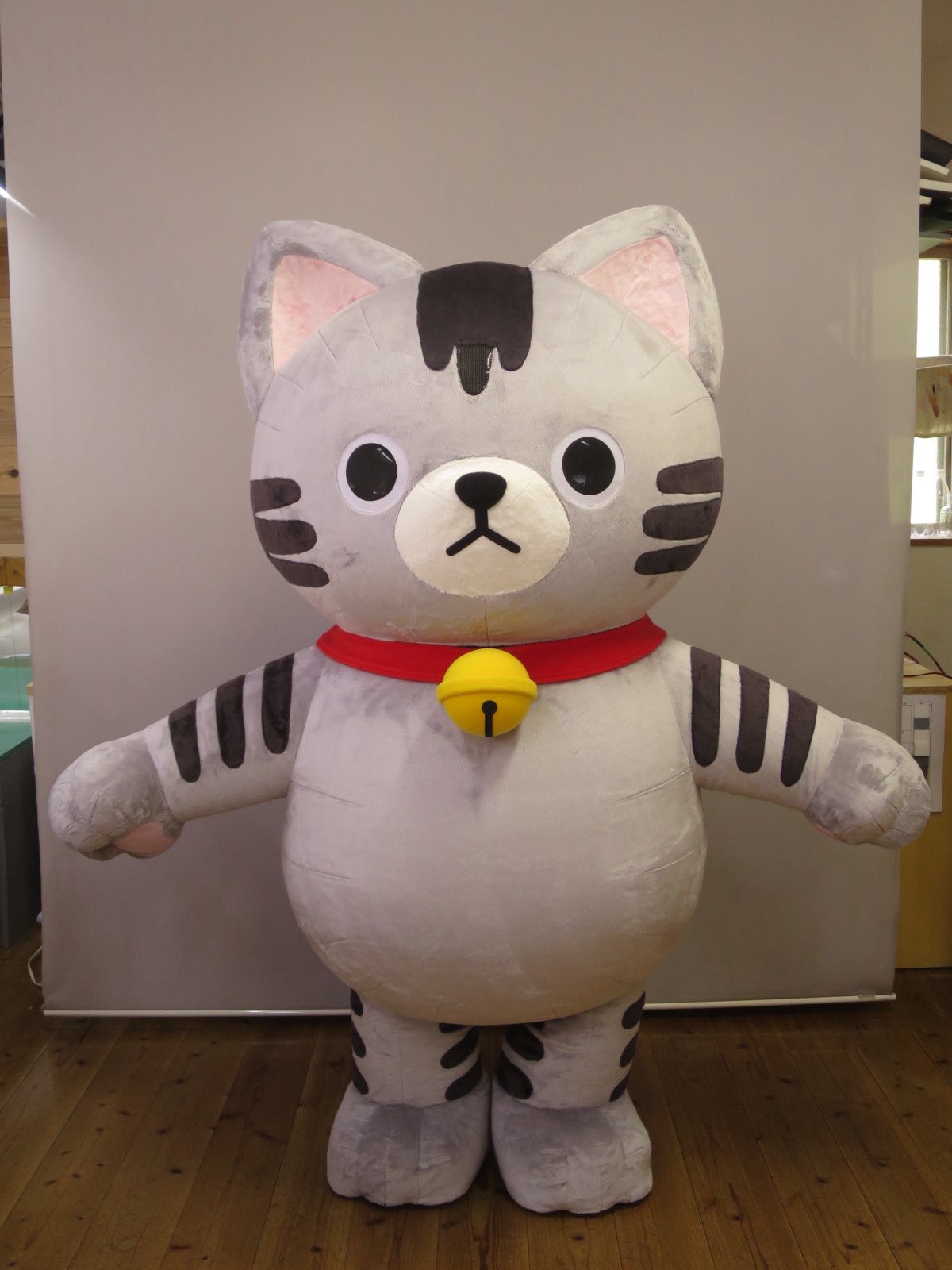 新しい仲間が誕生しました🙌 【ふわぐるみ】 アメネコ たびー 🐈 って