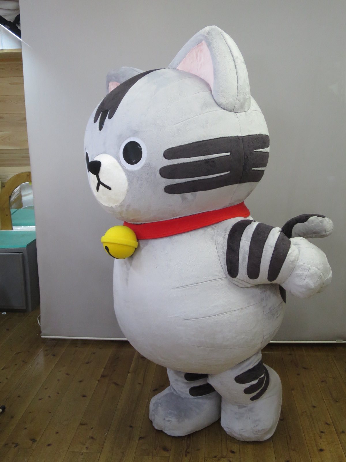新しい仲間が誕生しました🙌 【ふわぐるみ】 アメネコ たびー 🐈 って