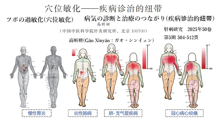 神戸東洋医学研究会 - 【鍼灸研究最前線：「ツボの過敏化(穴位敏化