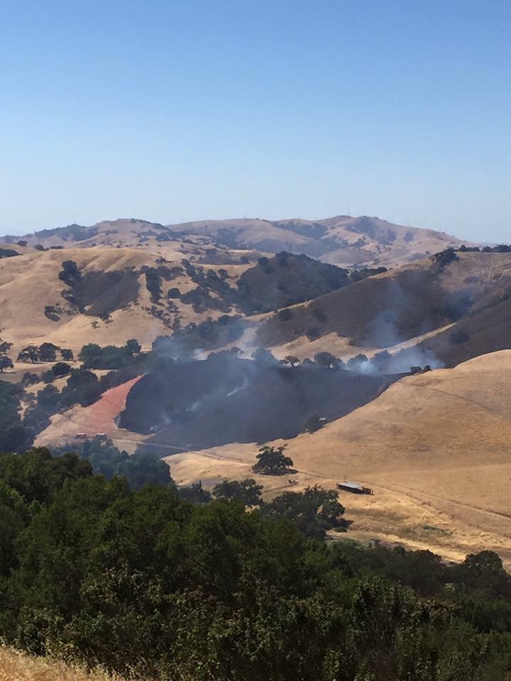 Tilton Ranch | Morgan Hill CA