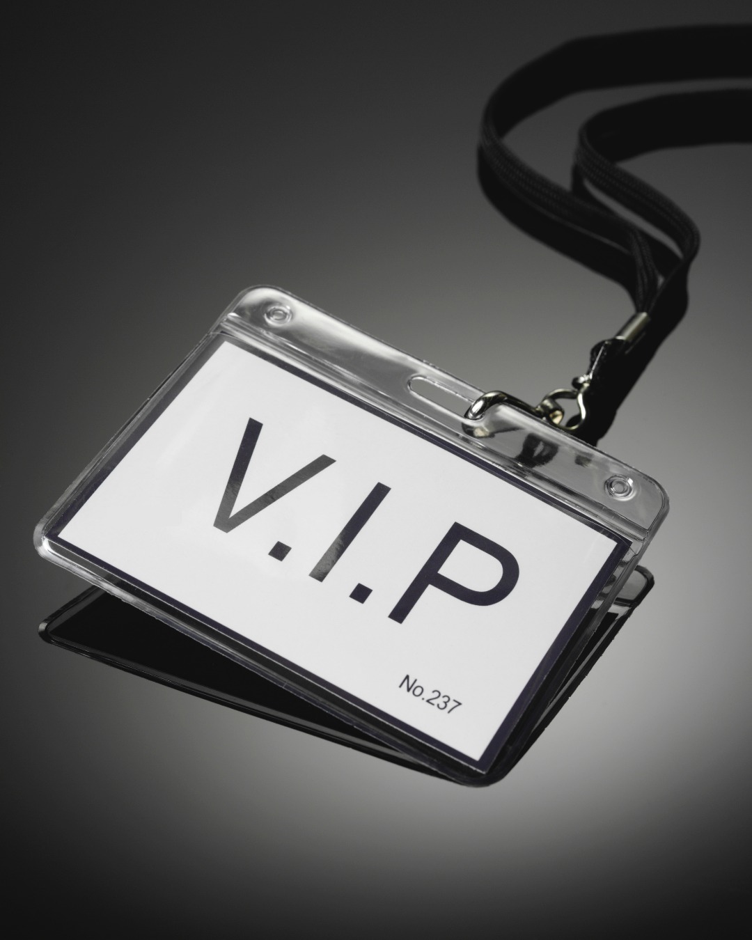 Elevate your Tachi-Con experience by purchasing a VIP Pass to